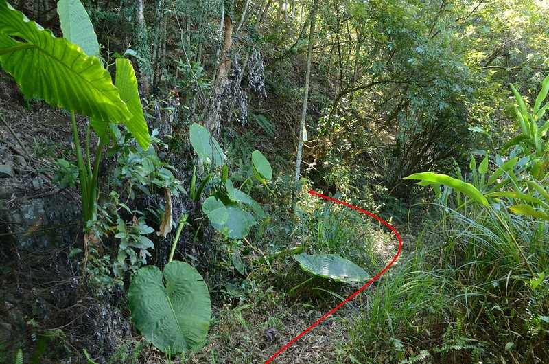 洗水山北峰廢產道上切點