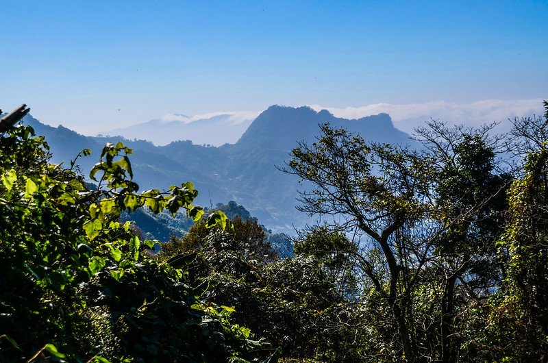 洗水山北峰登山步道西眺鷂婆山 (2)