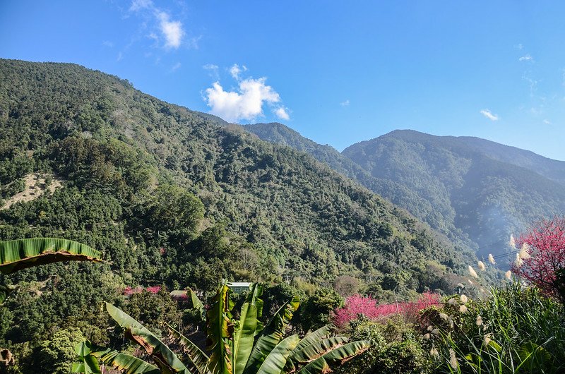 錦安農路東望洗水山