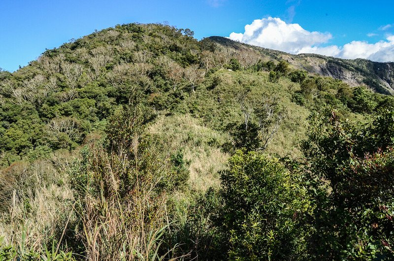 久、藏鞍部東北望大武藏山