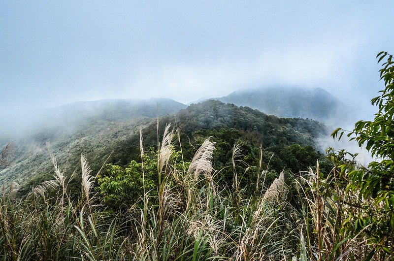 雲霧漫山頭 (1)