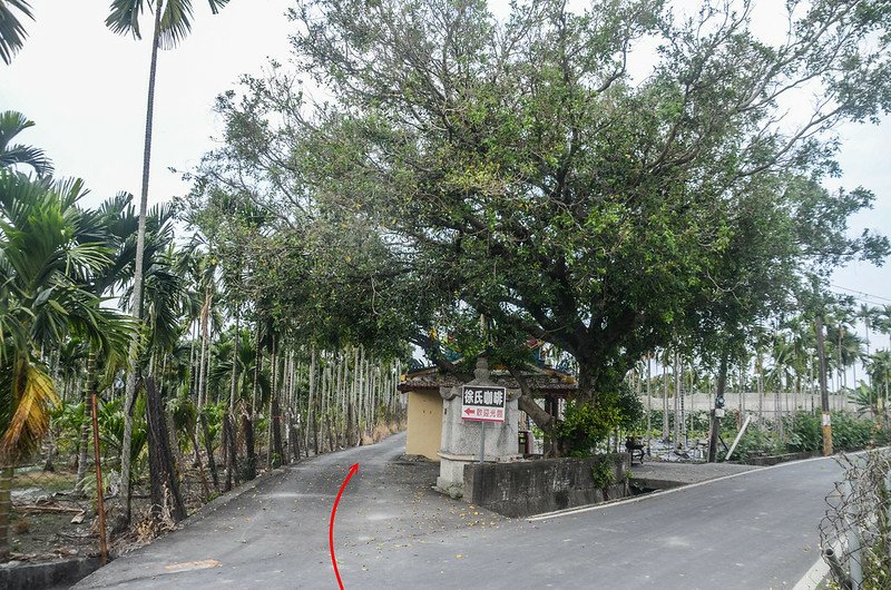 東興登山路線