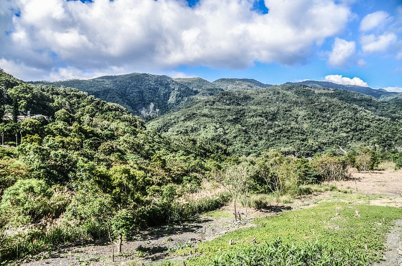 新興橋頭北望群山