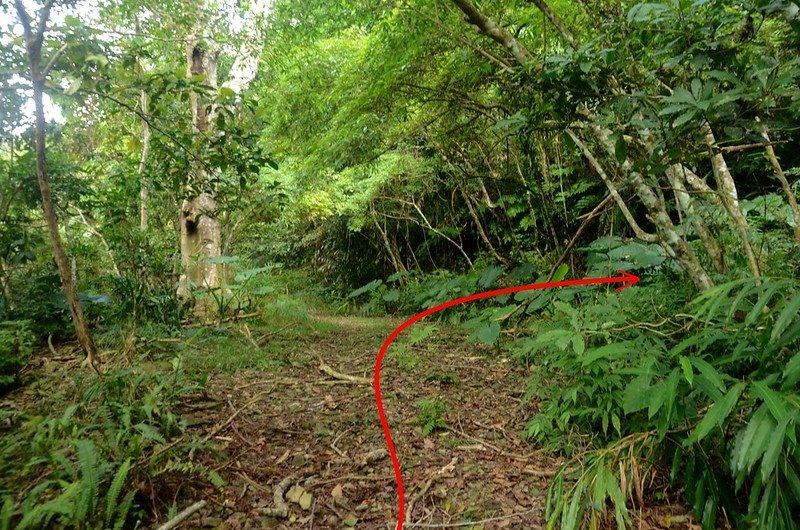 剎剎加倫山廢產道岔路