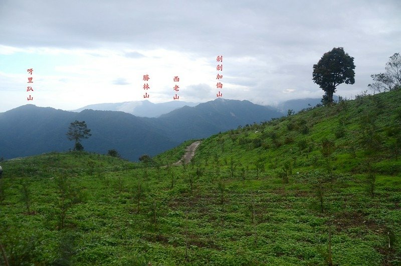 虷泉山停車處南望群山