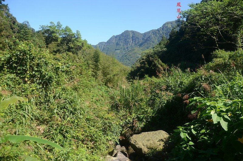 樟仔林林道東北望鳳凰山 1-1