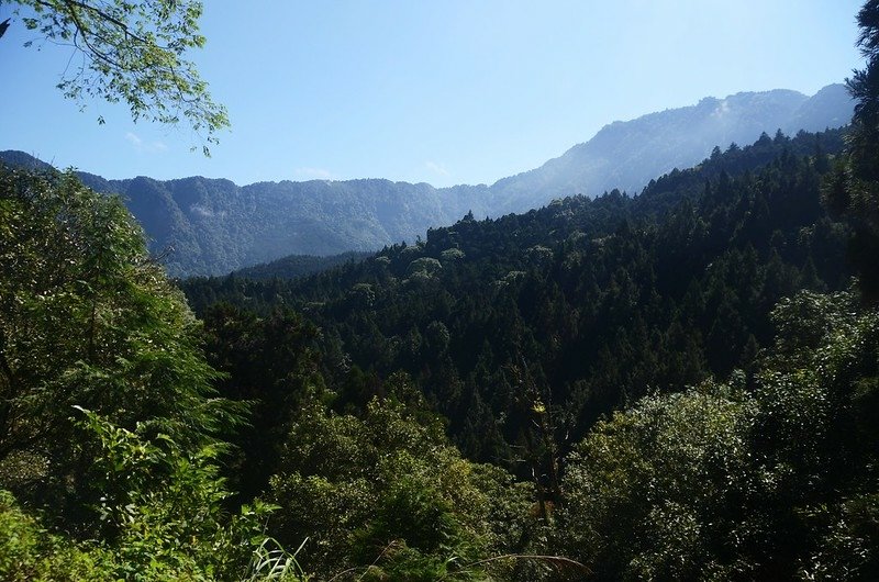 樟仔林林道東北望鳳凰山稜線 (2)