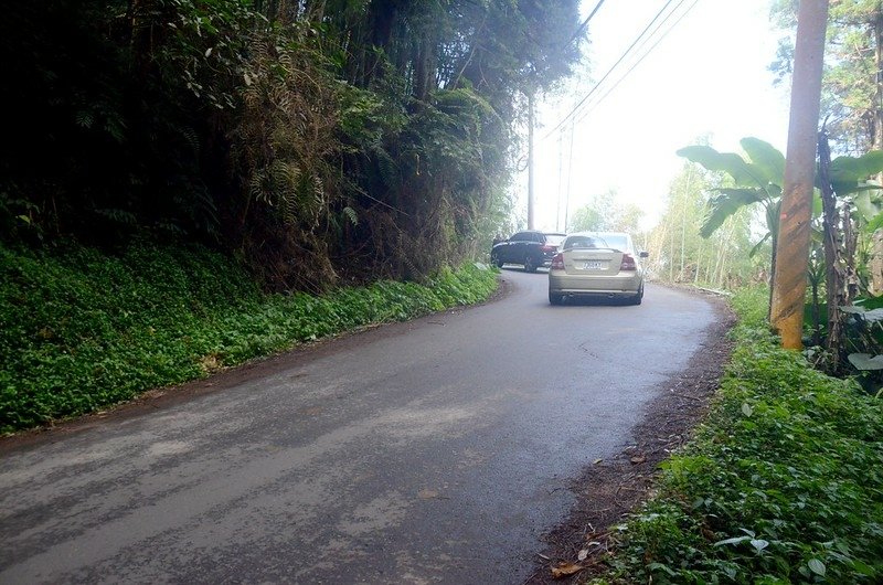 樟仔林林道T字路山徑接羊灣巷