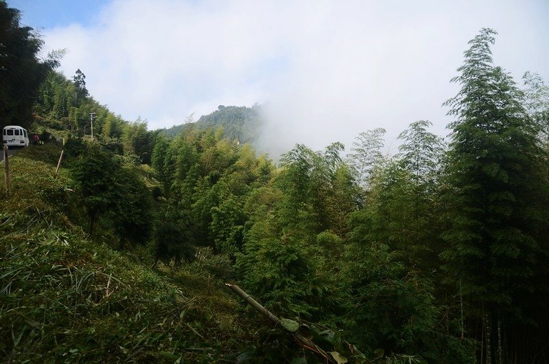 羊灣巷沿途景觀 (2)