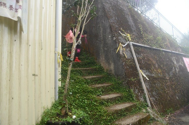 樟空倫山登山口