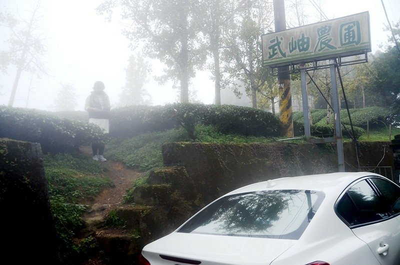 貓冬望山登山口