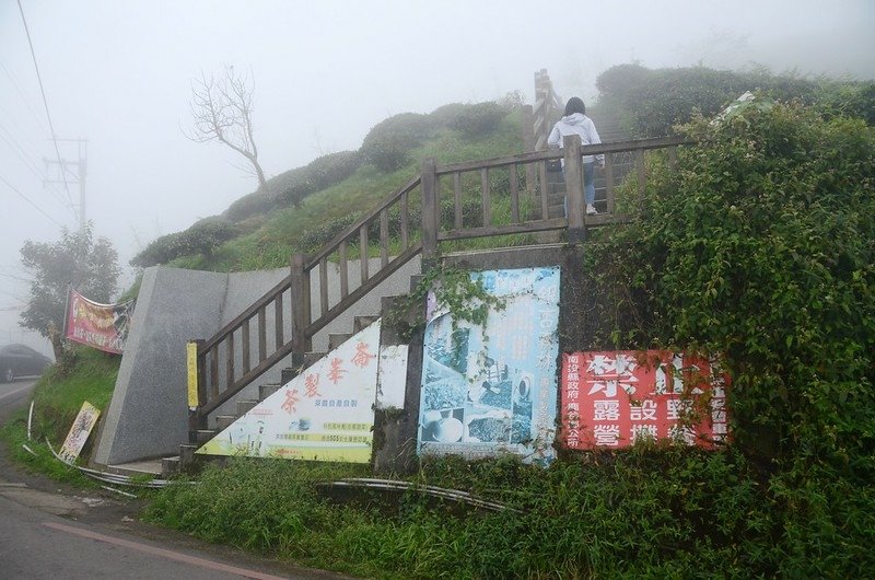 貓冬望山山字水泥柱登山口