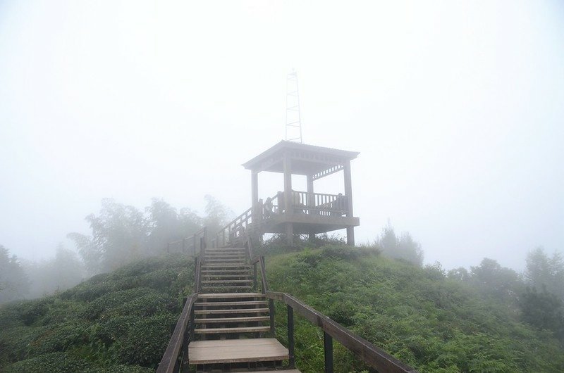 大崙山瞭望台