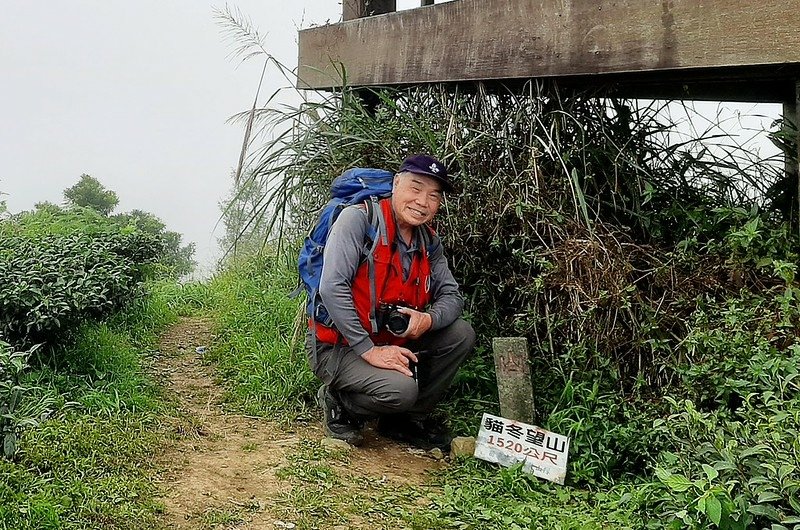 貓冬望山山字水泥柱