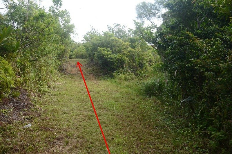 汀掛山產道最後岔路_副本