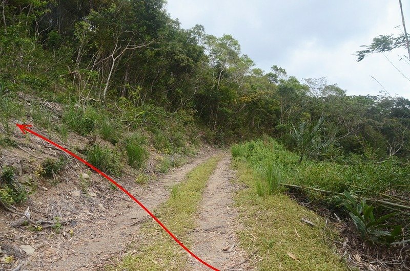 戶阿春山登山口上切點