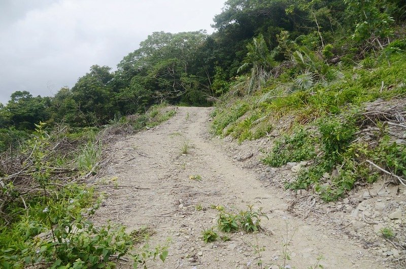 戶阿春山產道 (1)