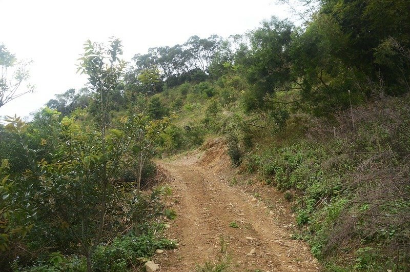 呀里叭山登山產道765稜線上切點