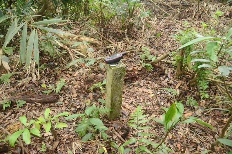 呀里叭山山徑保安林水泥柱 (1)