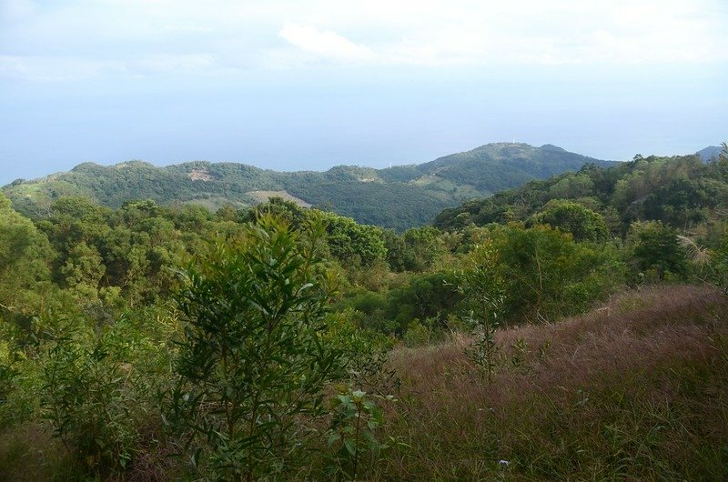 山景