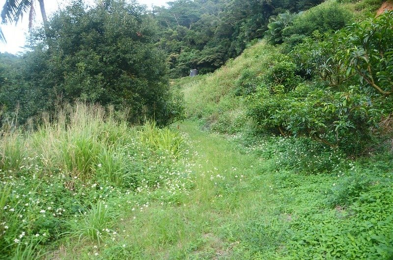 達仁村山步道 (1)