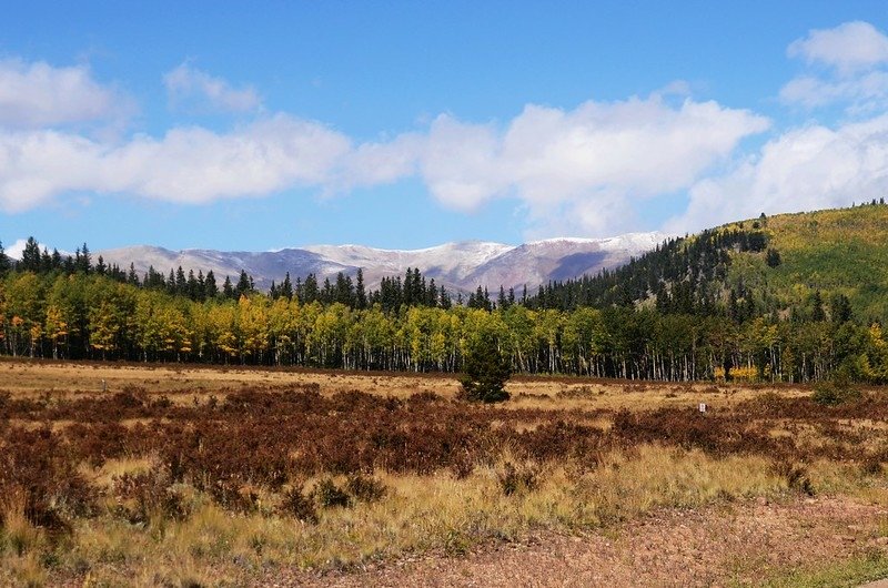 Boreas Pass Road (8)