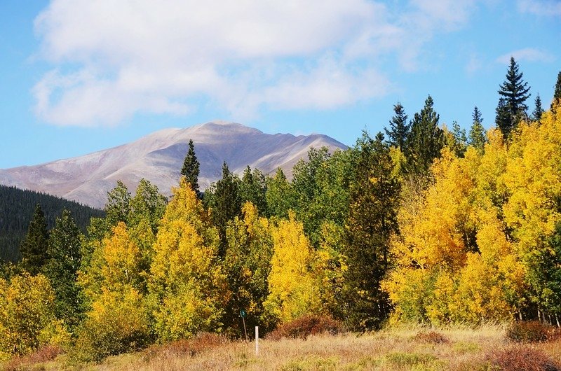 Looking west at Mount Sillverheels from Boreas Pass Road (2)