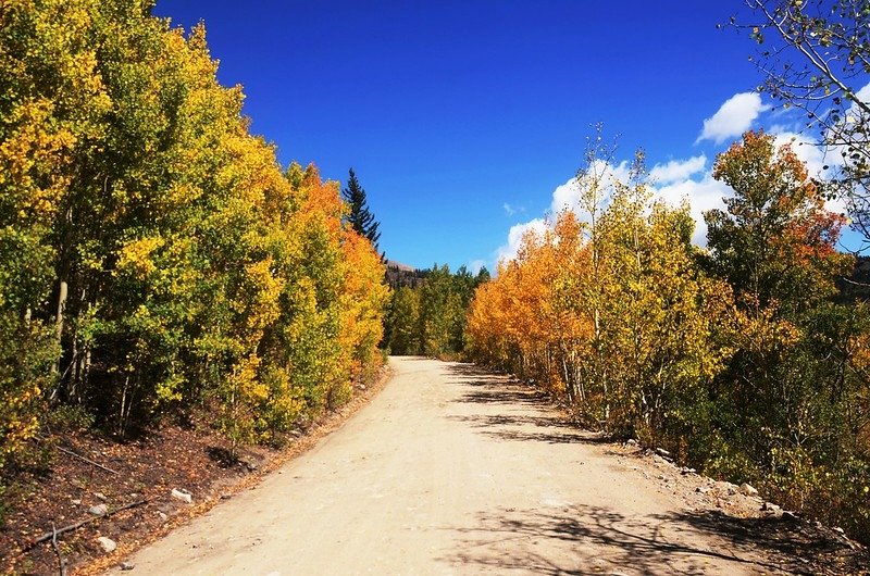 Boreas Pass Road (40)