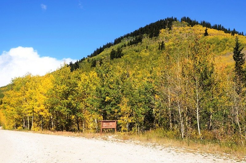 Boreas Pass Road (45)