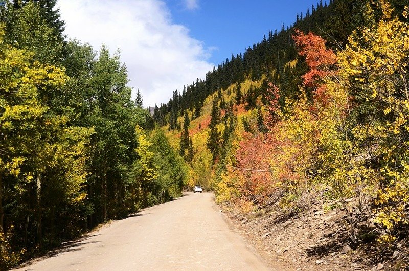 Boreas Pass Road (79)