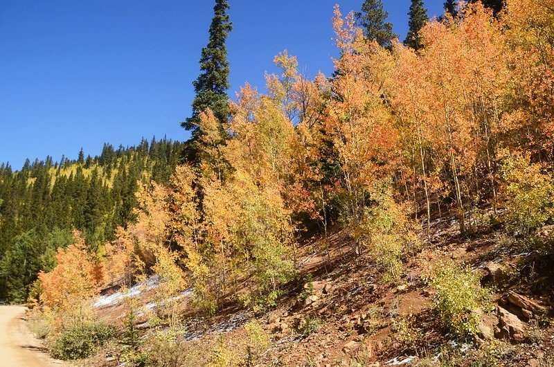 Boreas Pass Road (84)