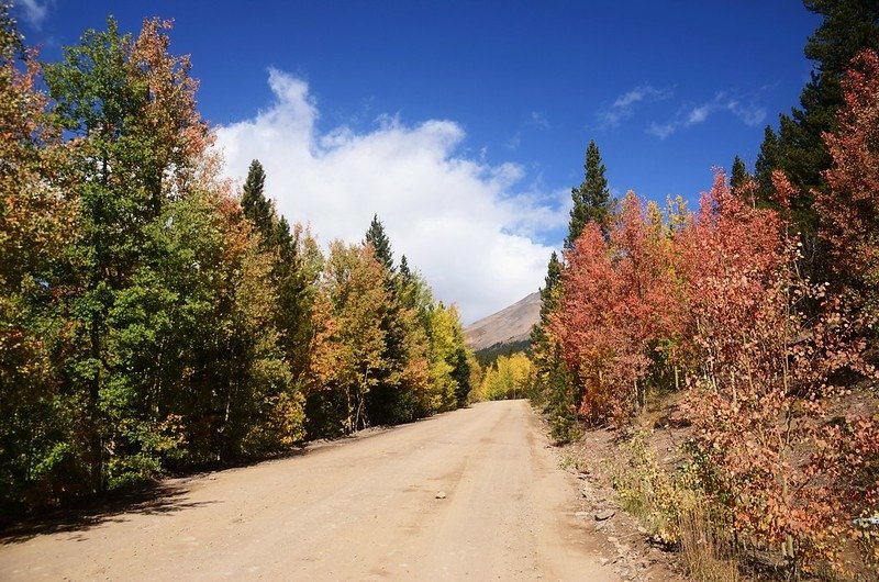 Boreas Pass Road (89)