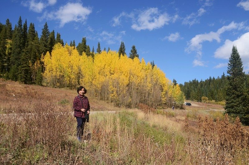 Taken from Boreas Pass Road (59)