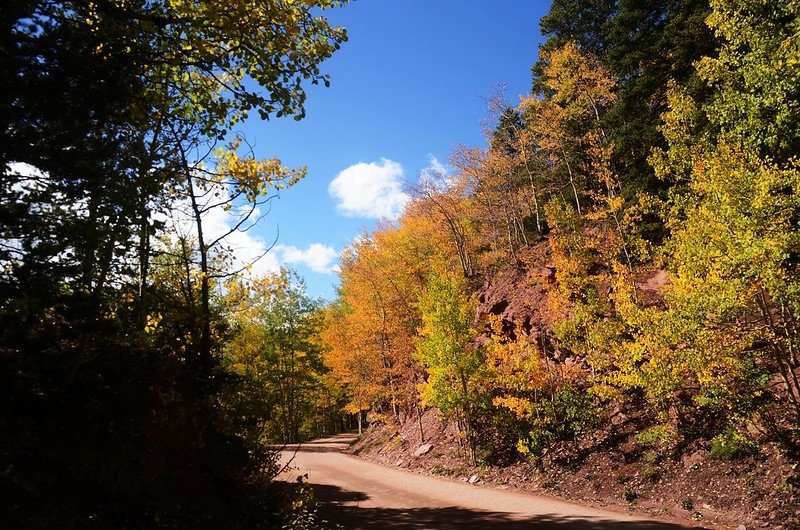 Boreas Pass Road (165)