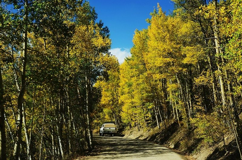 Boreas Pass Road (190)