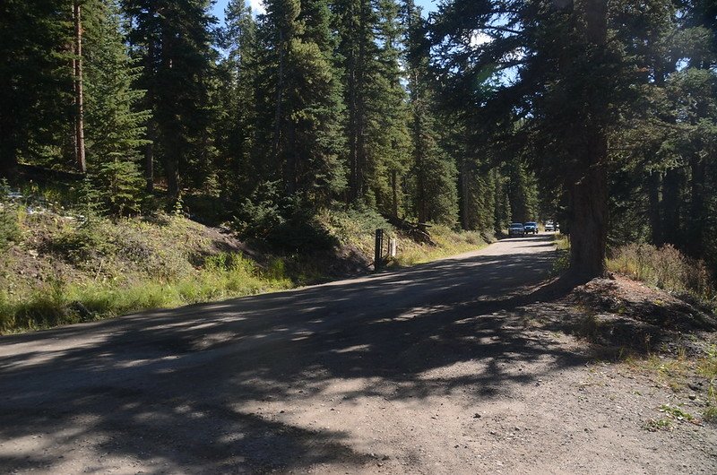 Boreas Pass Road (207)