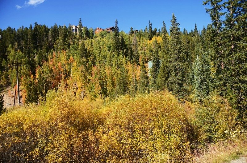 Boreas Pass Road (212)