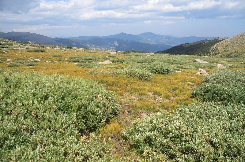 Looking north at mountains from Roosevelt Lakes Trail (3)
