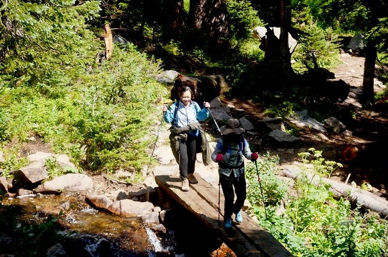 A Creek crossing by log bridge