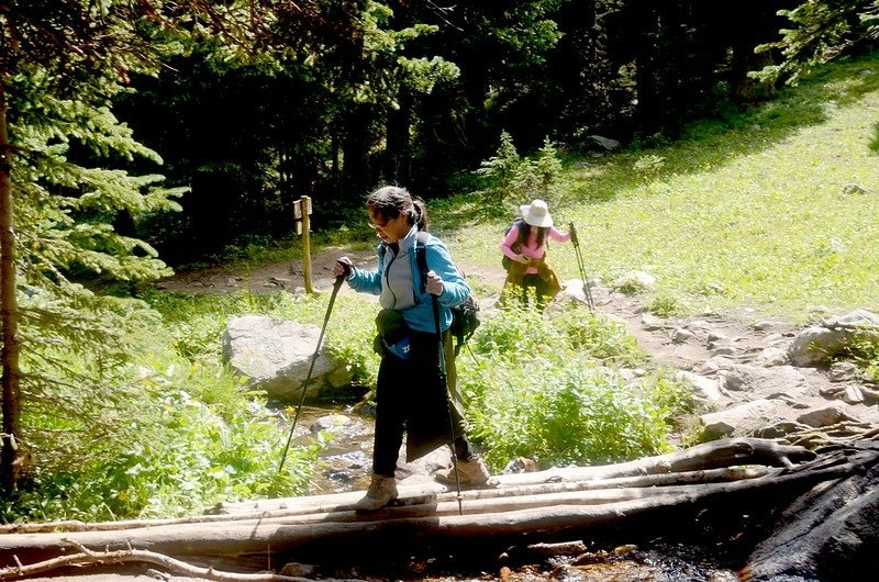 The makeshift bridge cross the creek