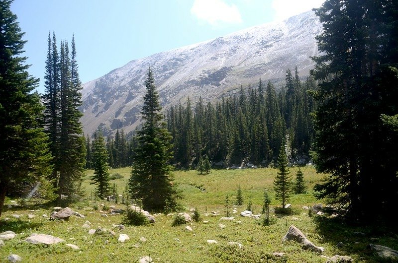 Fresh snow on the mountain