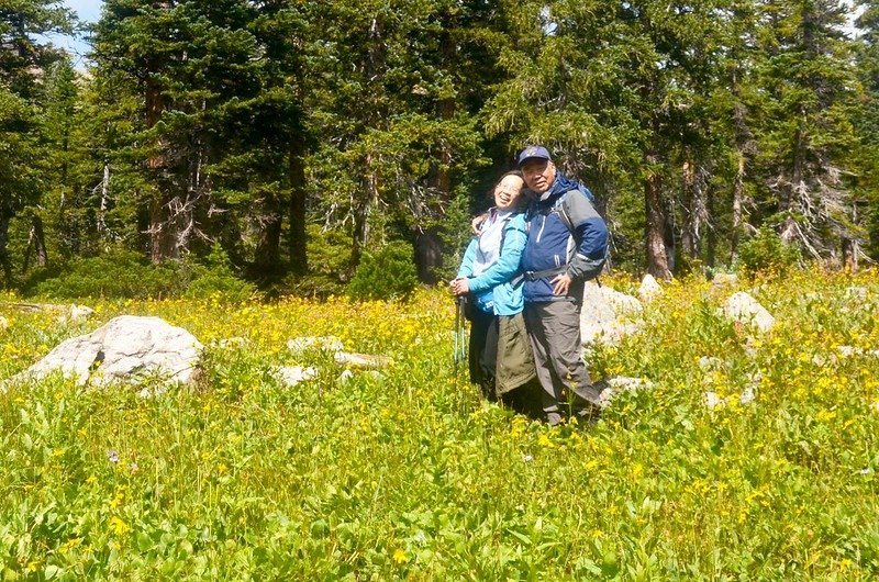 Wildflowers along the trail (2)