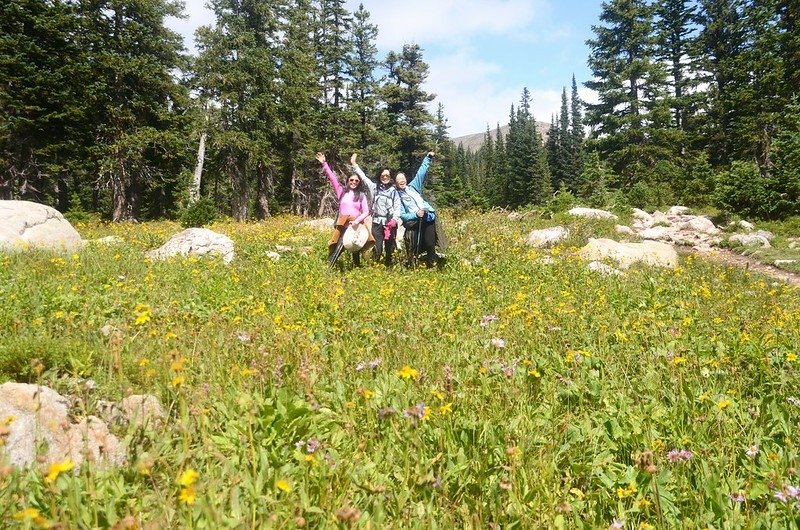 Wildflowers along the trail (1)