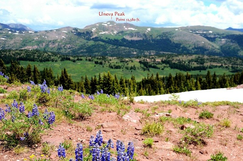 Looking northeast at Uneva Peak from Shrine Mountain