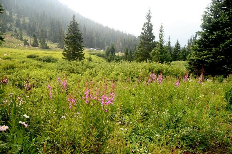 Jones Pass Trail (11)