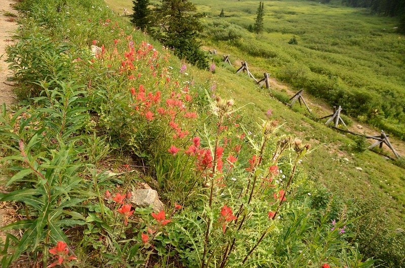 Jones Pass Trail (13)