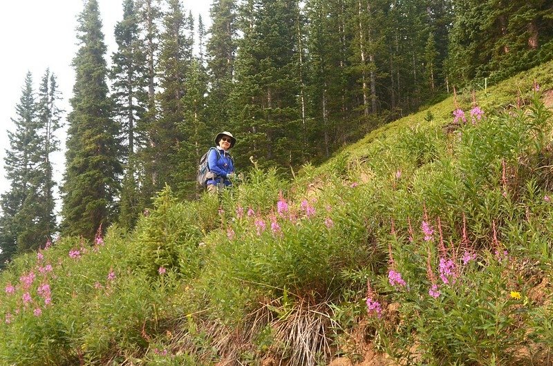 Jones Pass Trail (5)