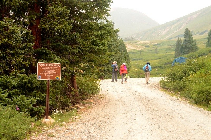 Alpine Tundra Area sign