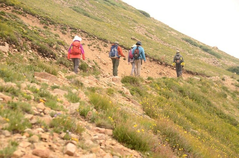 Jones Pass Trail (3)