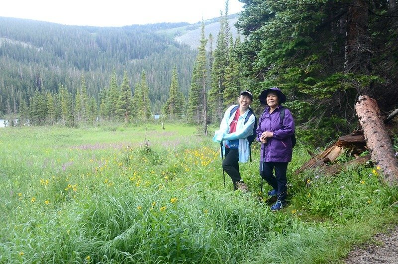 Wildflowers blooming in a meadow along Lake Isabelle Trail (1)